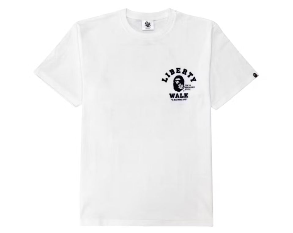 Bape x Liberty Walk “FD”